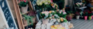 RoverCash es una aplicacion de caja adaptada a los floristasfleuristes